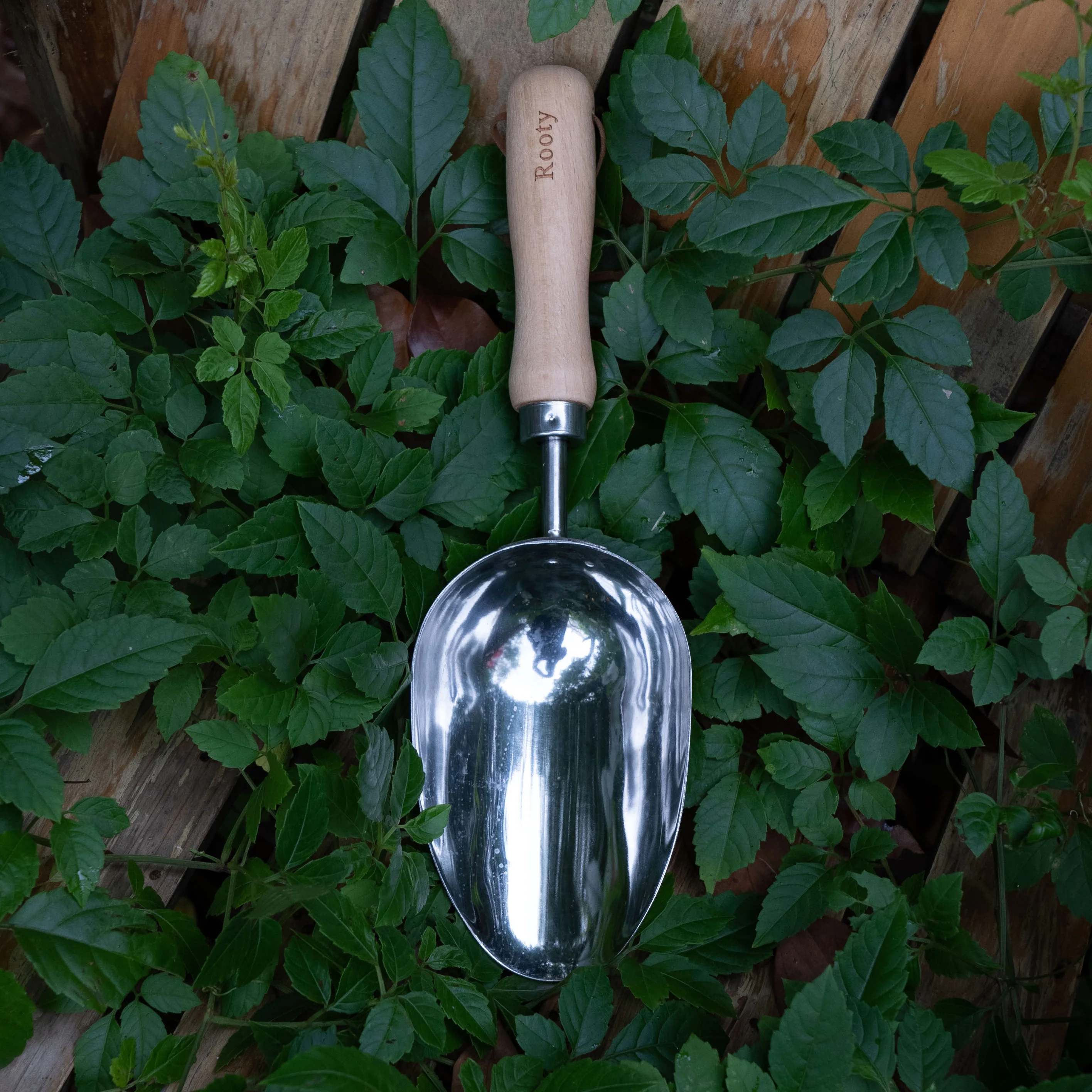 Rooty Garden Soil Scoop with Stainless Steel ,Wooden Handle easy for Transplanting , Digging, PLanting, Essential Gardening Tools and Accessories for Gardening Gifts