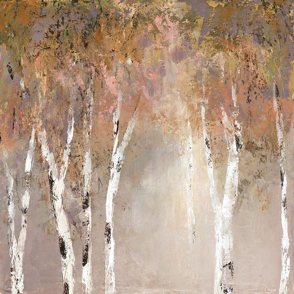 Robinson, Carol 12x12 Black Modern Framed Museum Art Print Titled - Sunlit Birch II