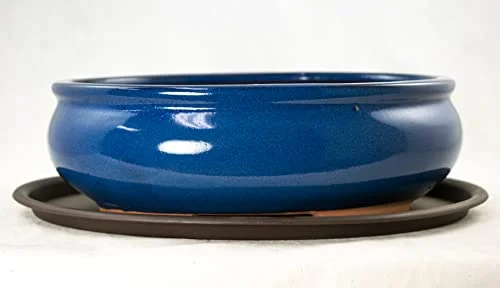 Oval Bonsai / Cactus & Succulent Pot + Tray + Mesh, Dark Blue, 10 x 7.5 x 3.25 Inches