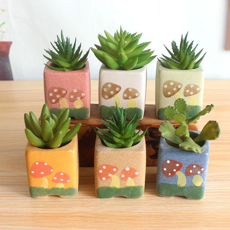 Korean Style Ceramic Succulent Plant Pot, Hand-painted Thumb Pot for Succulents, Small Succulent Flower Pot