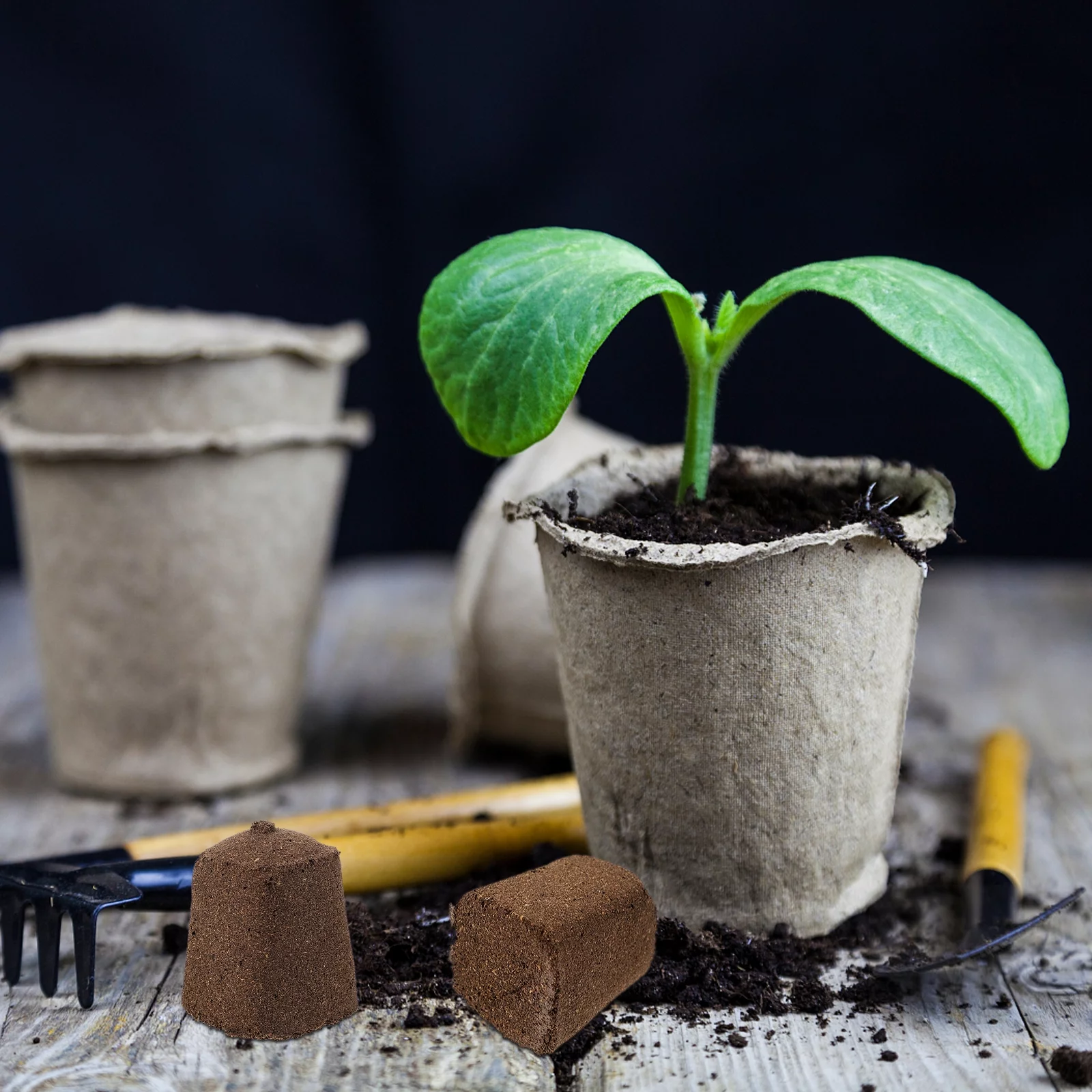 Guichaokj 10pcs Soilless Cultivation Inserting Seedlings Plant Fertilizer Nutrient Block