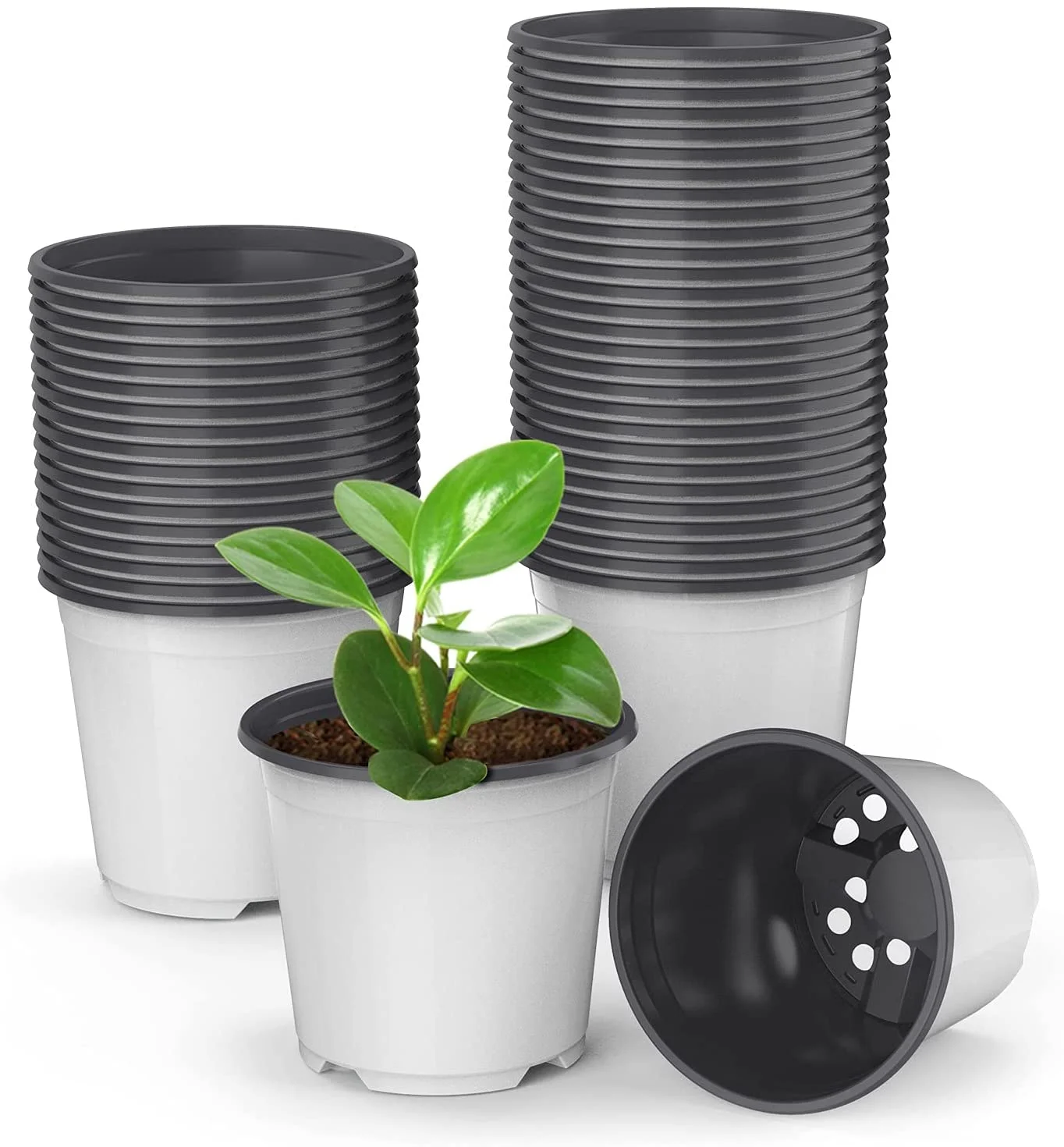 UPMCT 50 Pack Nursery Pots, Inch Plants Flower Pots Durable Plastic Planters Indoor Modern Decorative Seed Container Pots for House Plants, Succulent, Flower (4INCH, White) 4INCH White