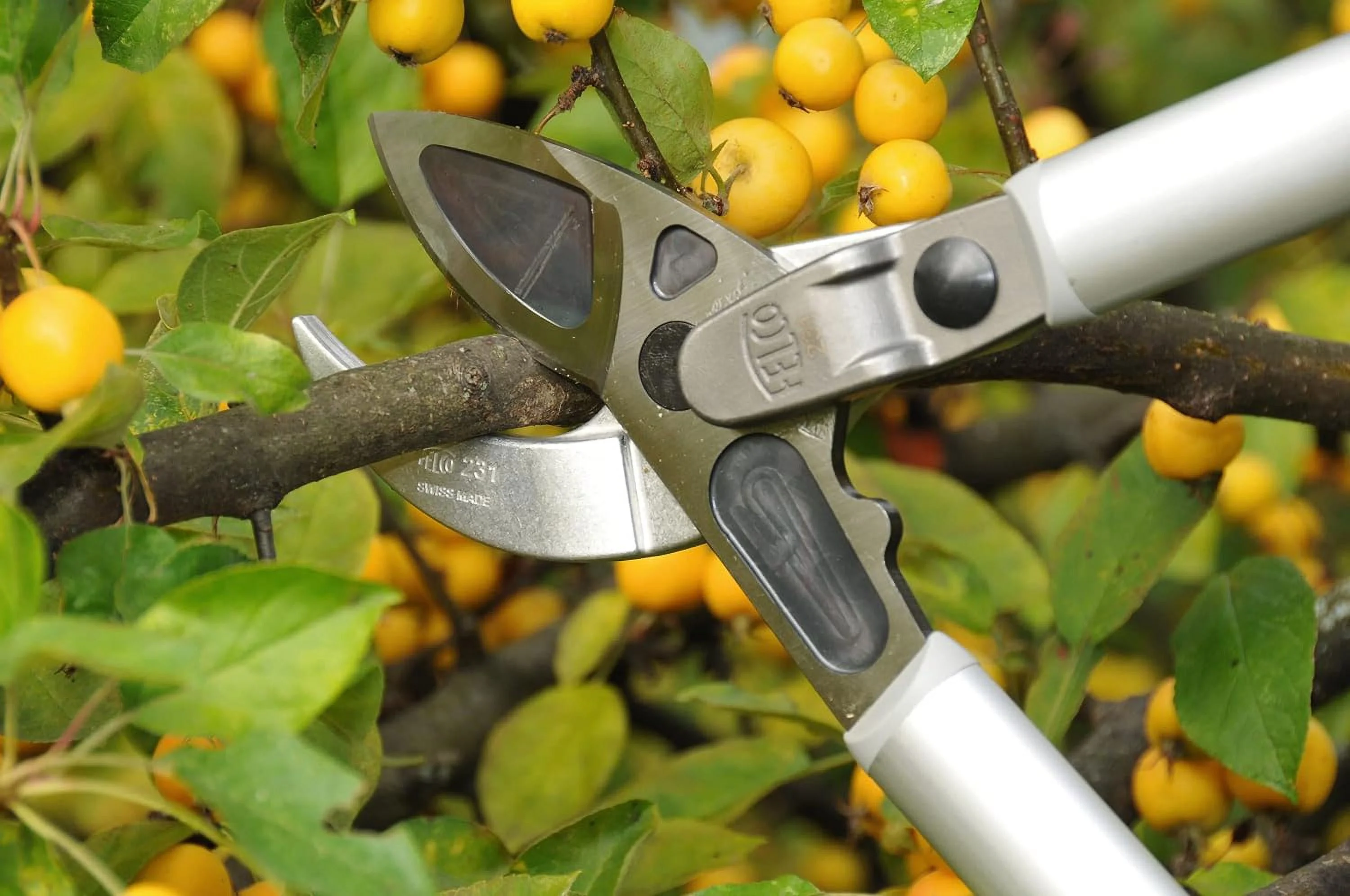 F231 231, Two-Handed, Lever-Action, Long Lopper, Style, Anvil Curved Blade, Red/Gray