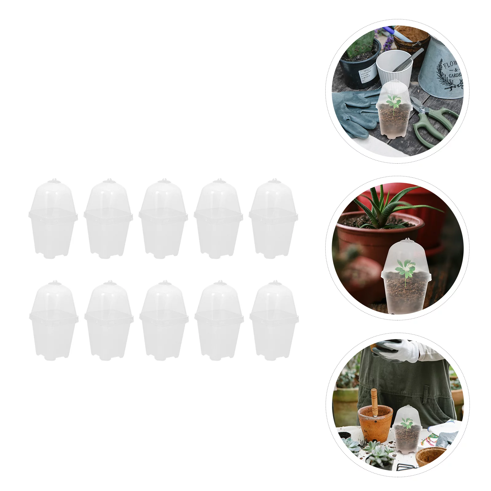 NUOLUX 10 Sets Plant Germination Plastic Cups Plant Growing Boxes Nursery Sowing Pots with LIds