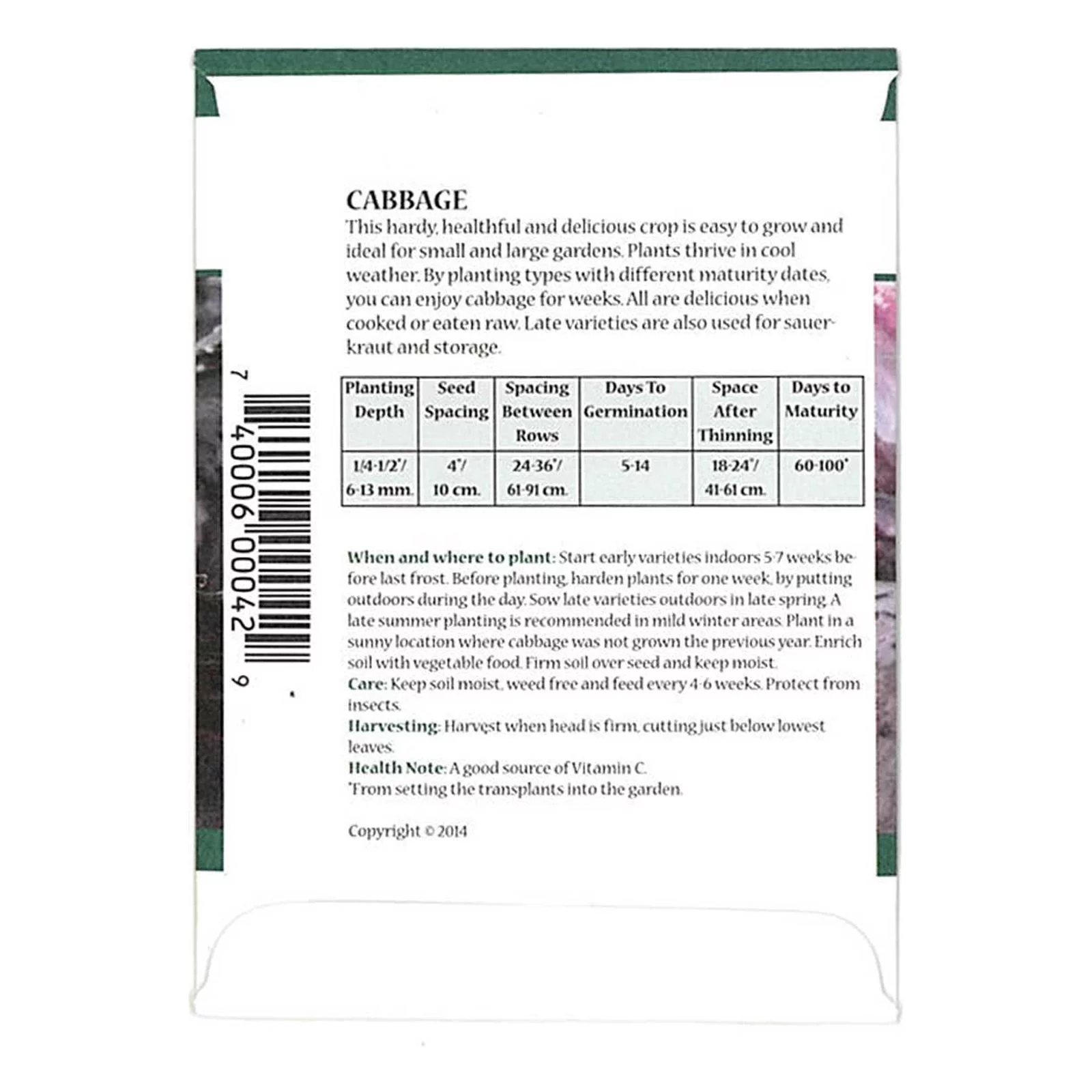 Red Acre Cabbage Garden Seeds - 4 Gram Packet - Heirloom, Non-GMO Vegetable Gardening Seed - Cabbage Micro Green Seed