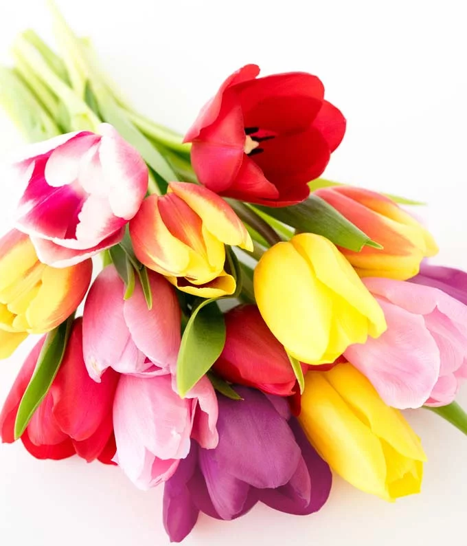 From You Flowers - Rainbow Tulip Bouquet - 20 Stems (Fresh Flowers) Birthday, Anniversary, Get Well, Sympathy, Congratulations, Thank You