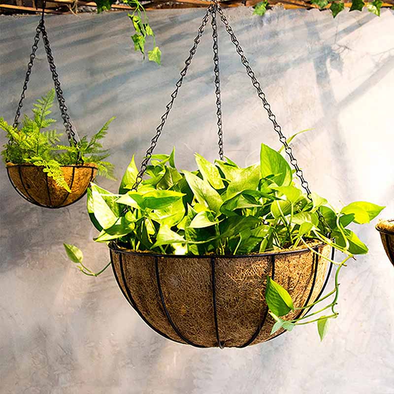 Decorative 10-Inch Round Metal Hanging Basket Holder for Plants with Wire Liner for Flower Garden Pot - Perfect Balcony Decoration