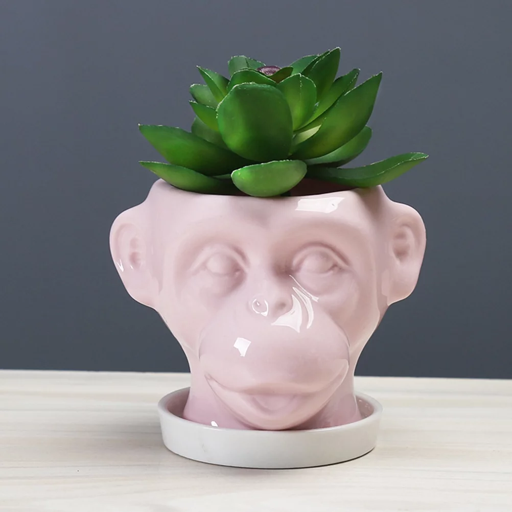 Guichaokj 3pcs Home Small Ceramic Flower Pots Creative Succulent Pot Without Plant