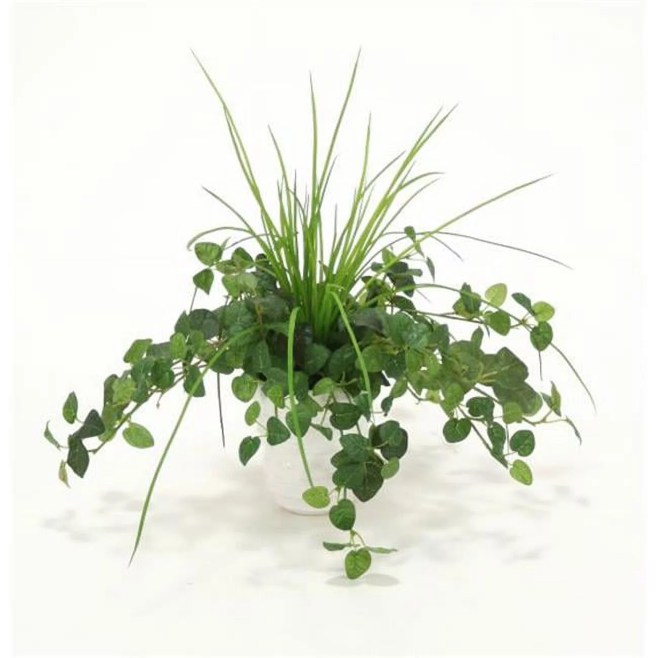 Assorted Greenery in White Ceramic Planter - Pack of 3