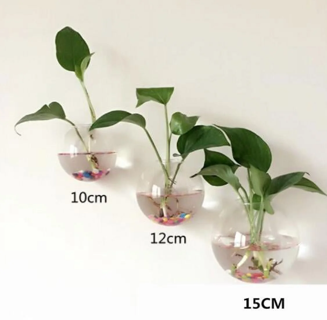 hirigin Wall-Mounted Glass Flower Pot Transparent Globe Shape Hanging Vase Planter