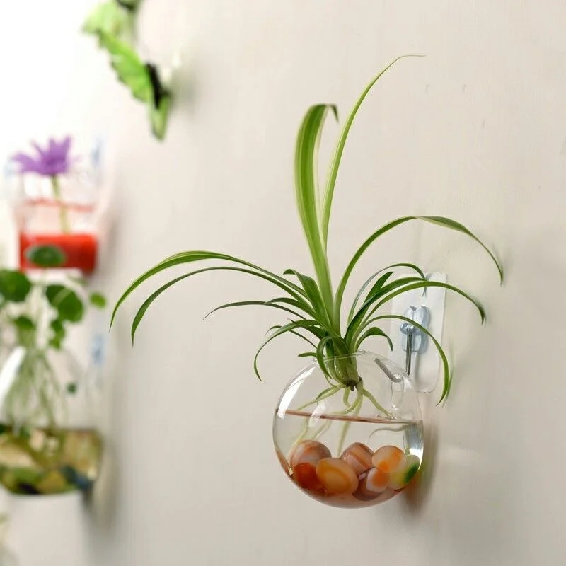 hirigin Wall-Mounted Glass Flower Pot Transparent Globe Shape Hanging Vase Planter