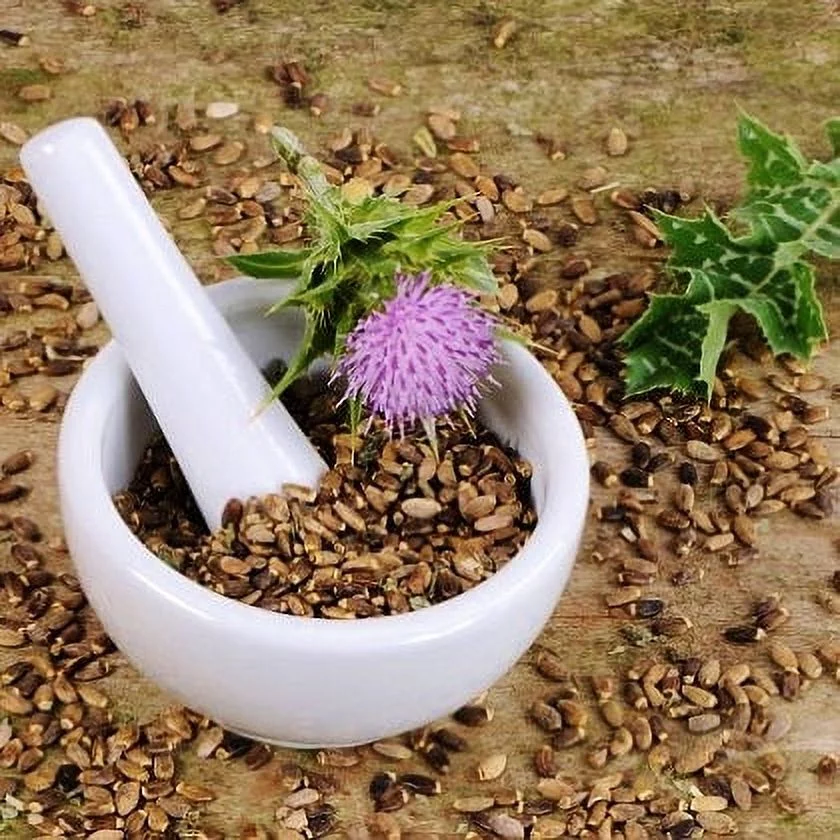 Milk Thistle Seeds - Packet -  Herb Seeds,   Attracts Bees, Attracts Butterflies, Attracts Hummingbirds, Attracts Pollinators, Easy to Grow & Maintain, Culinary
