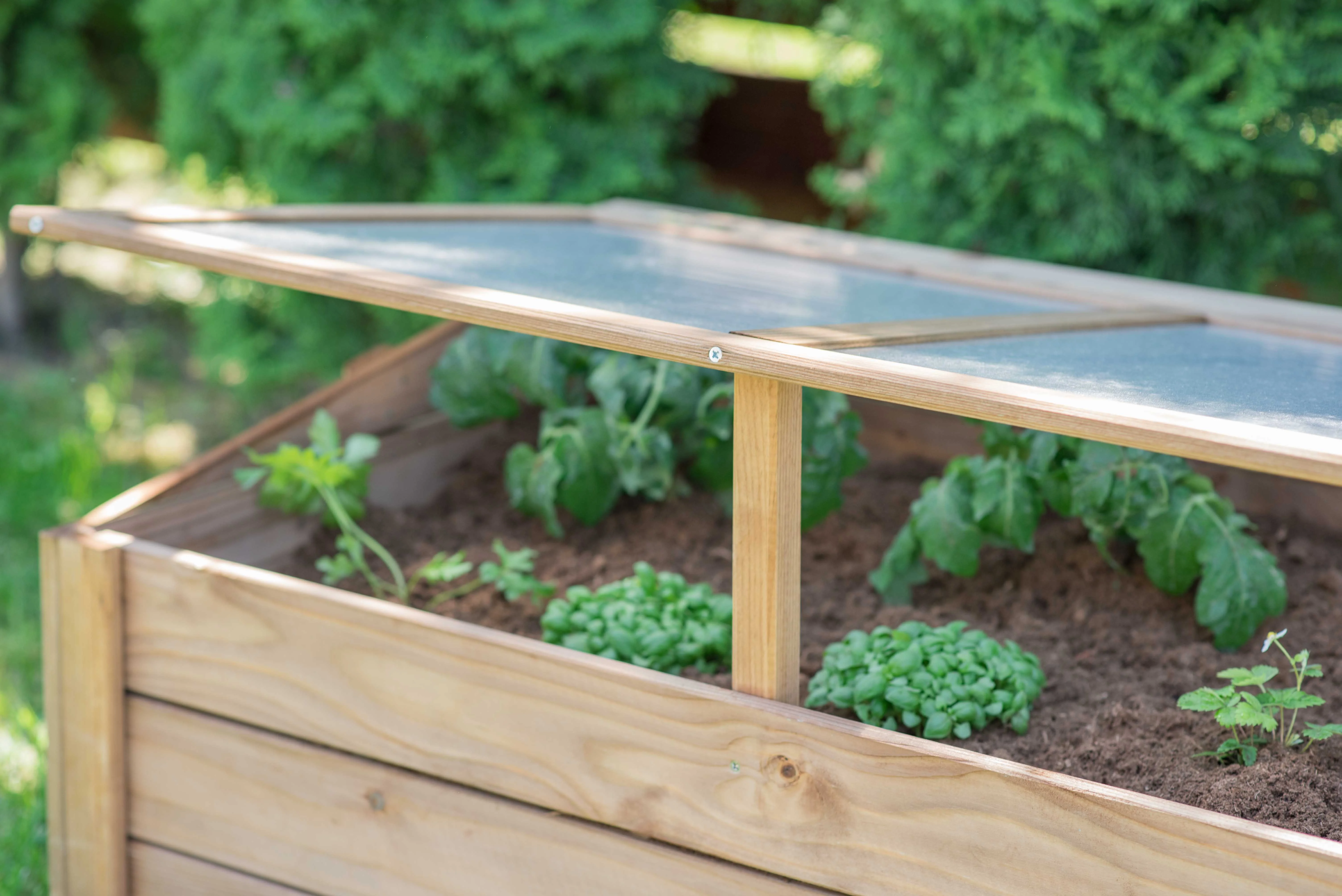 Tierra Garden Wooden Cold Frame 39.4