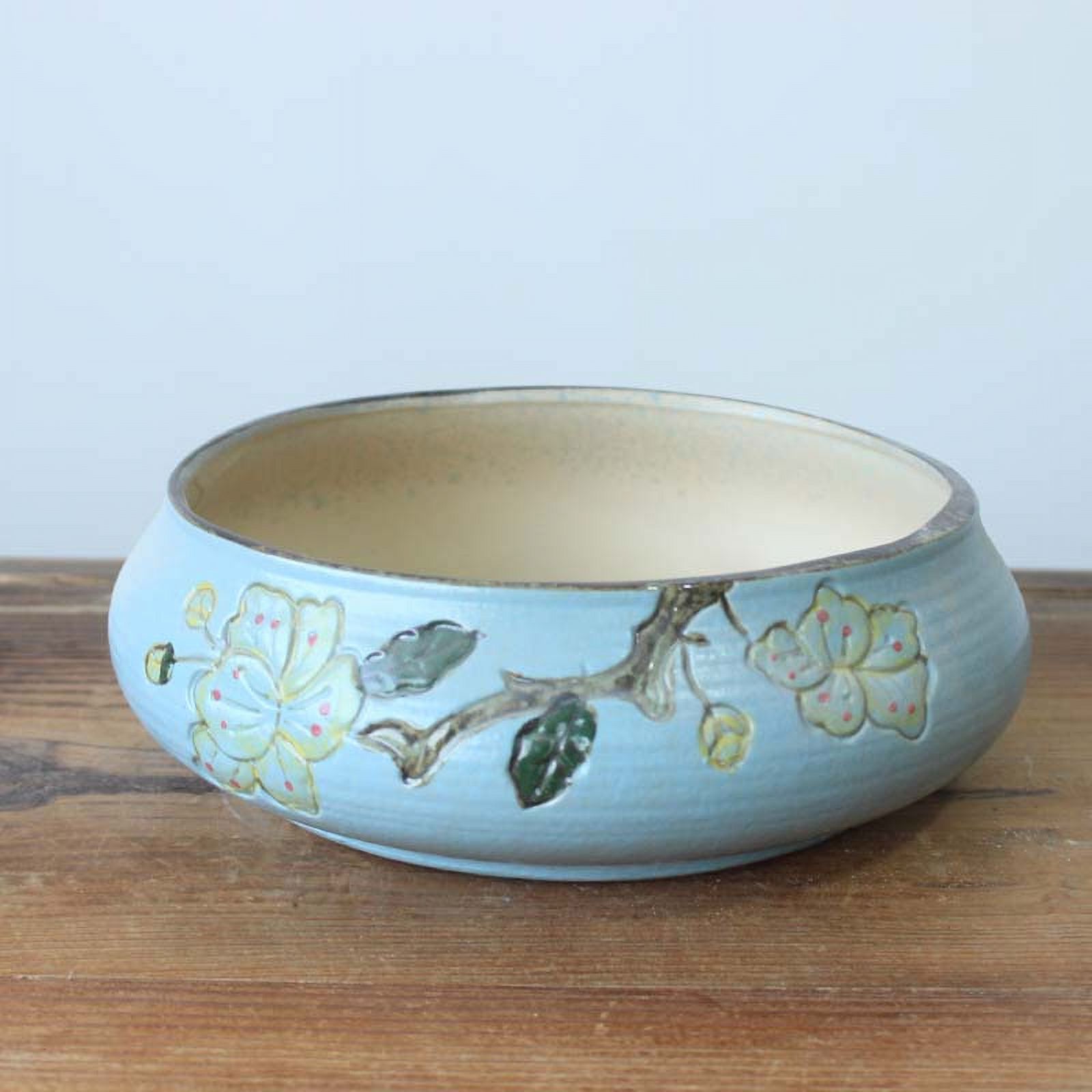 Ceramic Succulent Planter - Hand-painted Large Desktop Planter