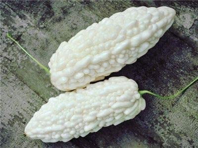 100pcs White Bitter Gourd Vegetable Seeds