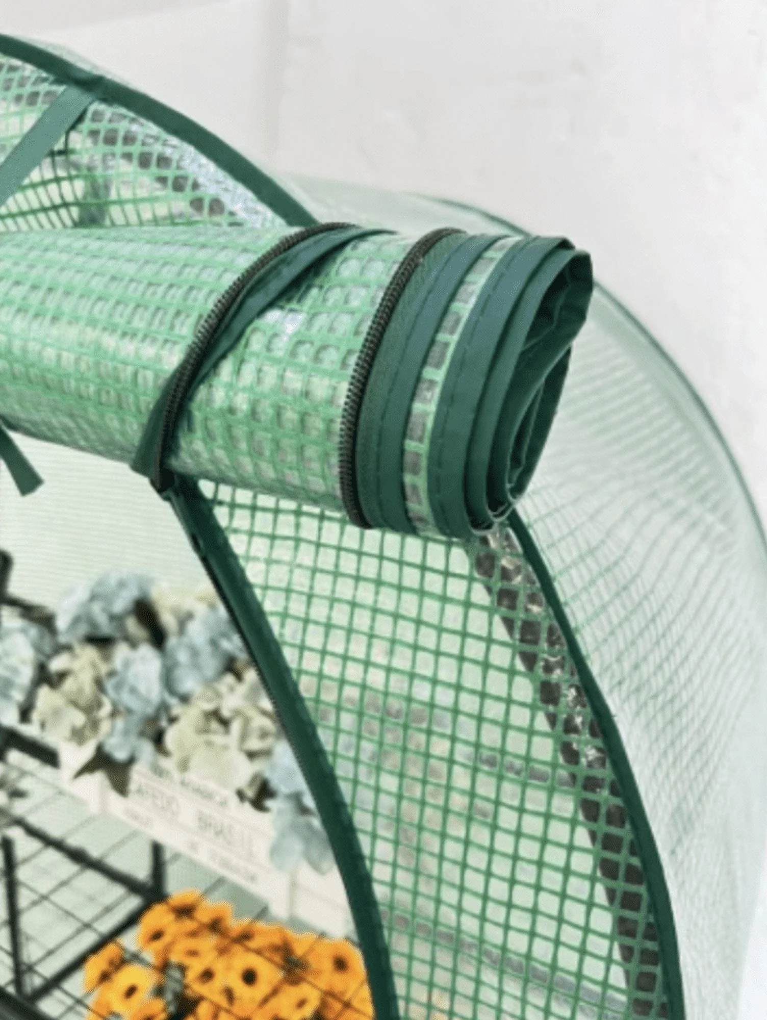 Westerly Greenhouse (40