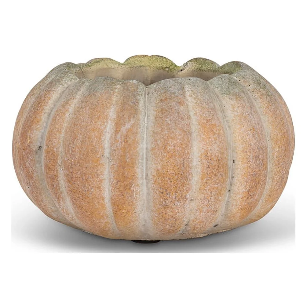 Small Low Pumpkin Planter
