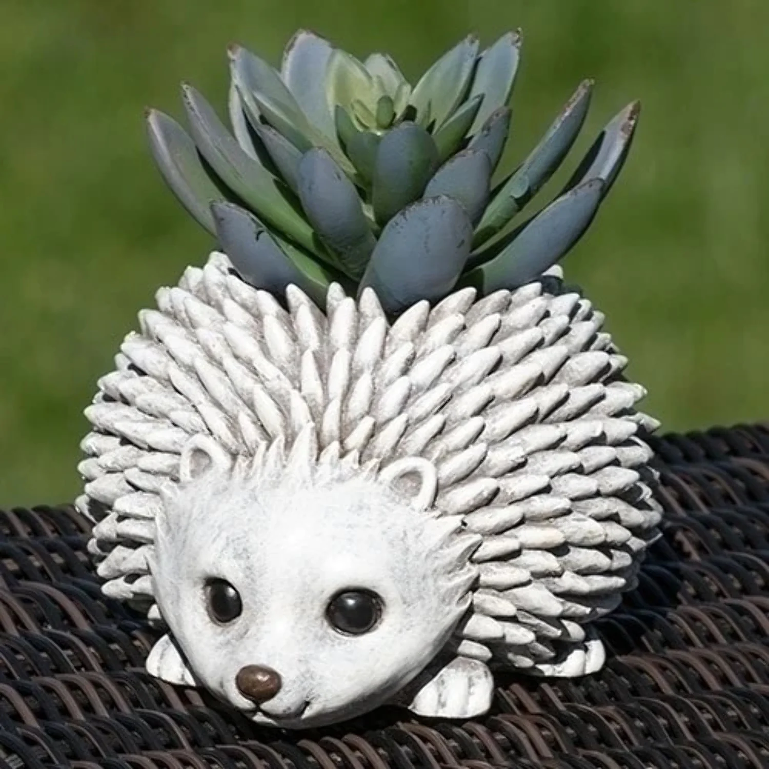 Roman Mini 3.25 Hedgehog Garden Planter