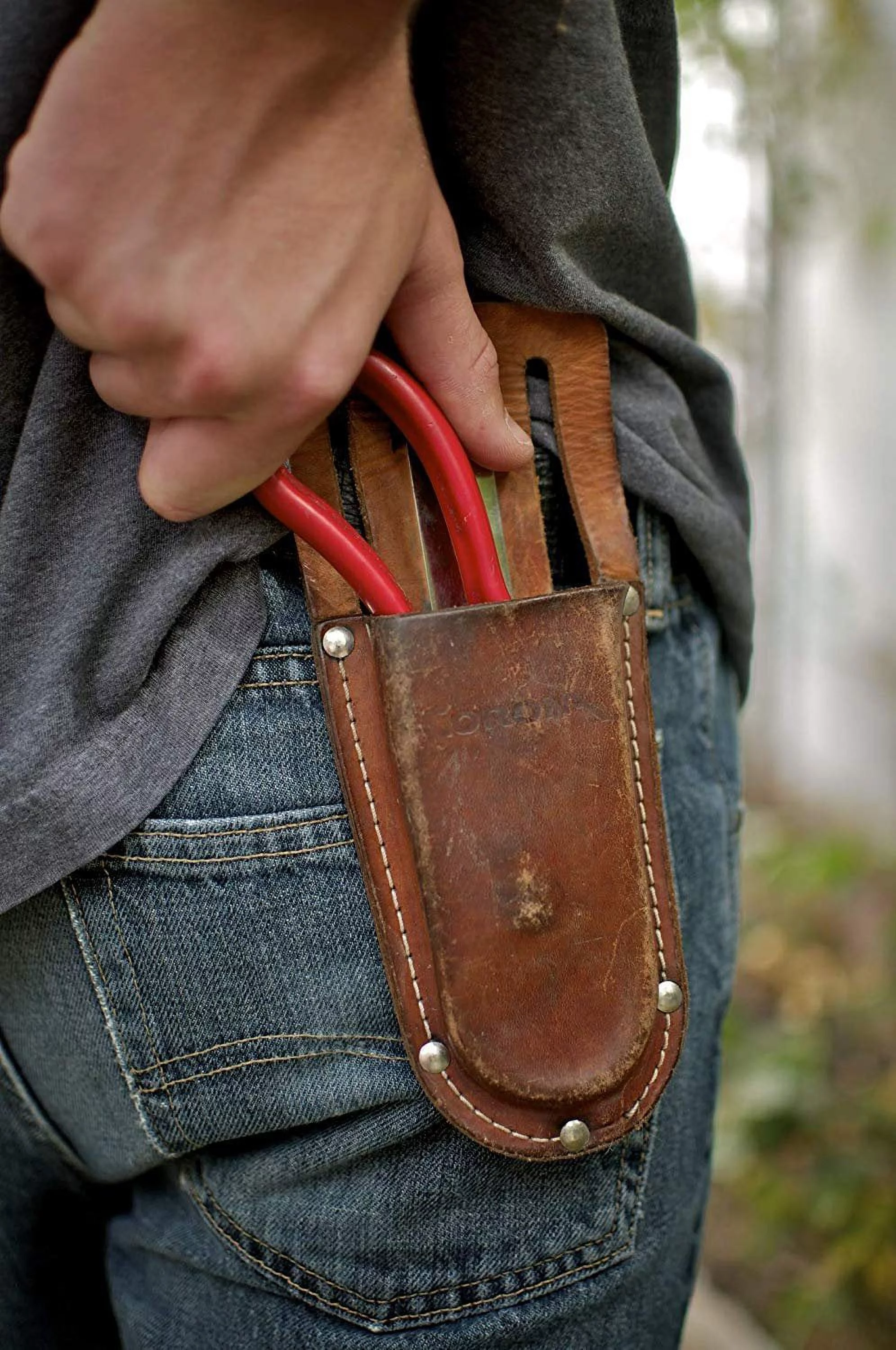 Corona AC 7220 Leather Pruner Scabbard Holster, 5-Inch