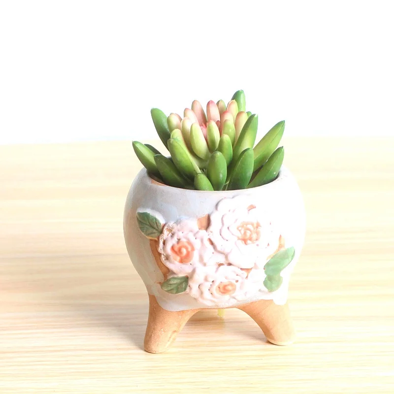 Hand-Painted Ceramic Succulent Planter - Small Succulent Plant Pot Thumb Pot