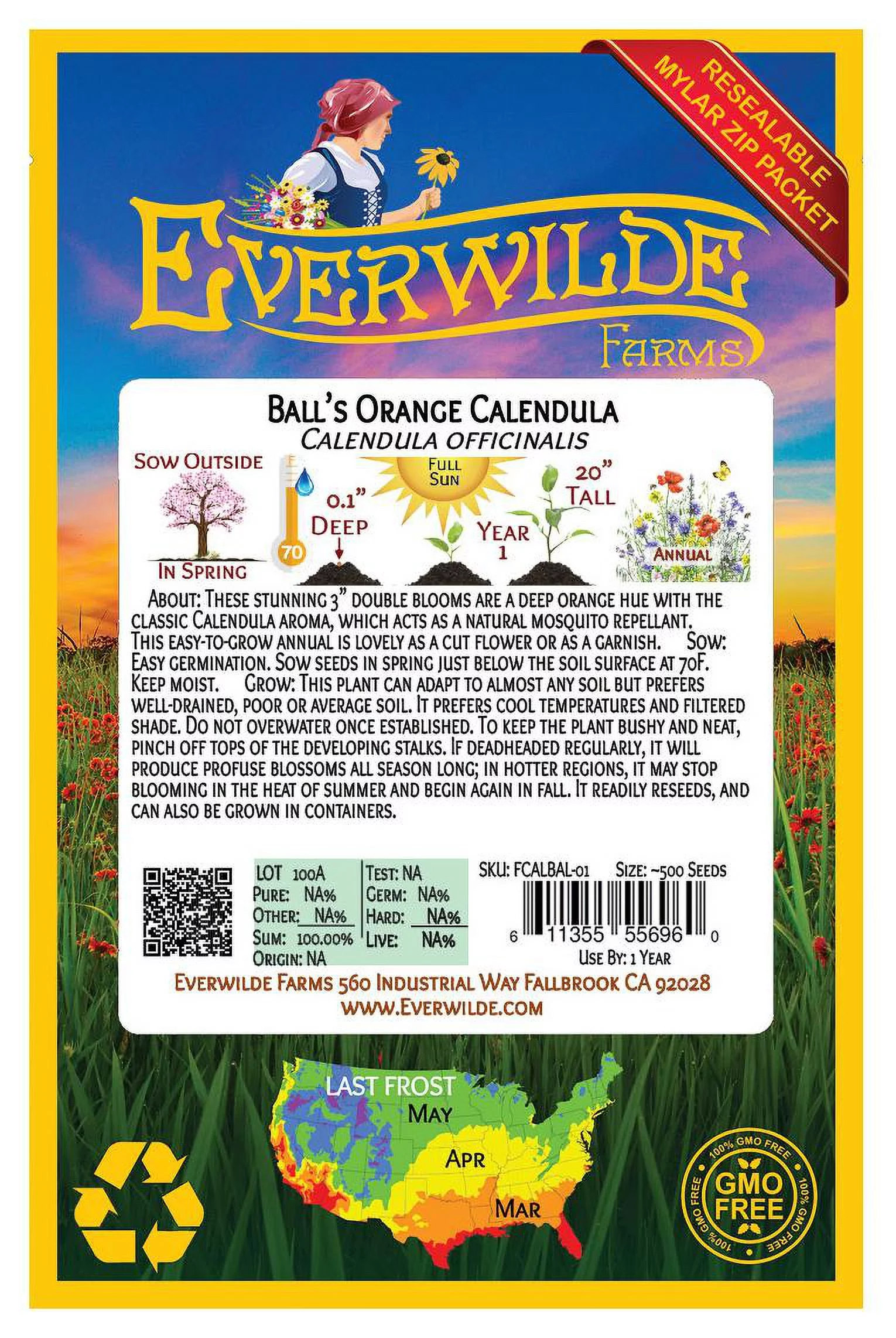 Everwilde Farms - 500 Balls Orange Calendula Garden Flower Seeds - Gold Vault Jumbo Bulk Seed Packet