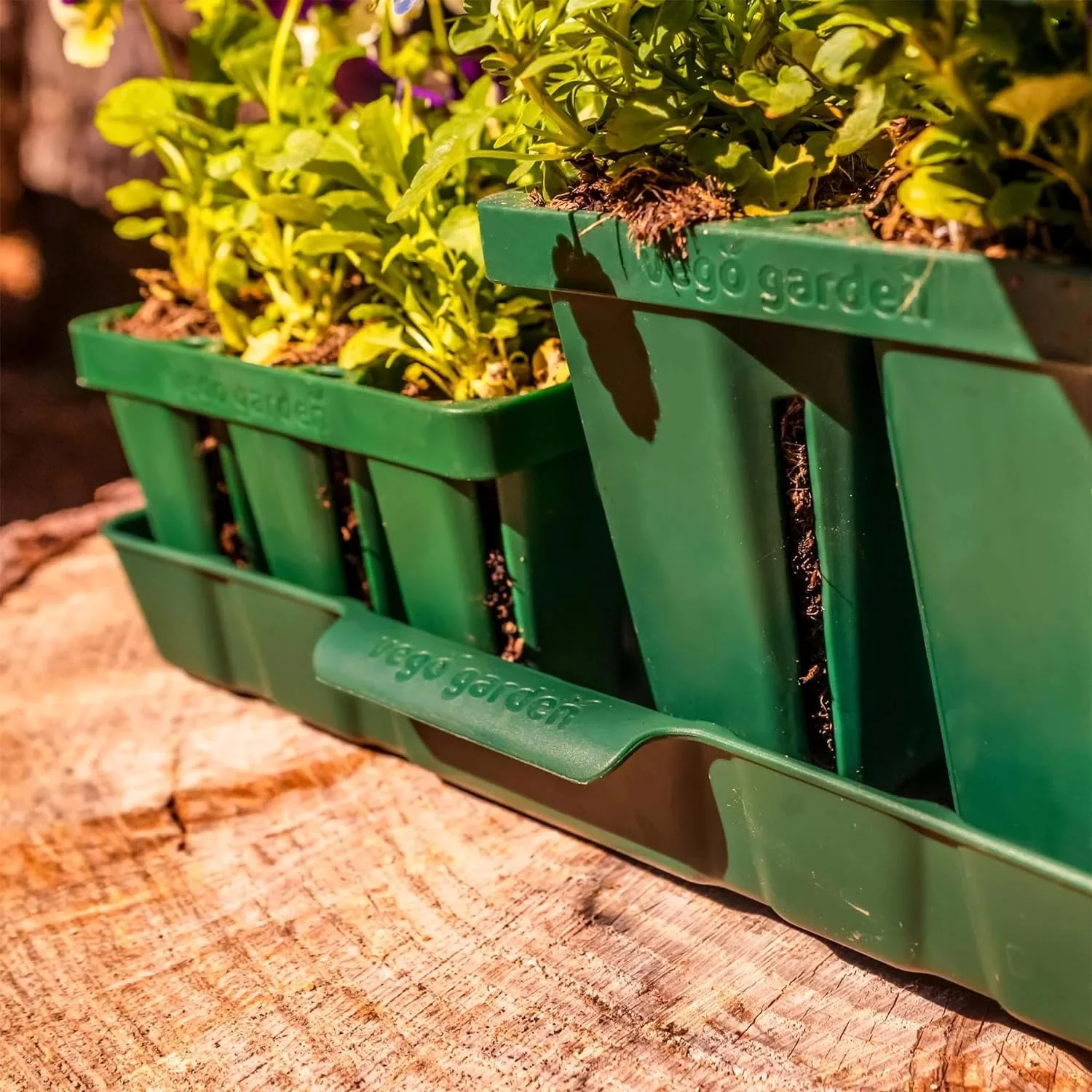 Vego Garden 8 Pack Bottom Watering Trays Plant Growing Trays for Seedlings, 10