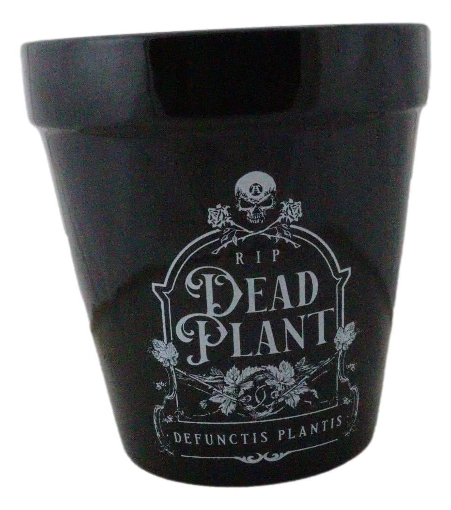 Dead Plant RIP Skull Grave Tombstone Wicca Witch Flower Herbs Planter Pot