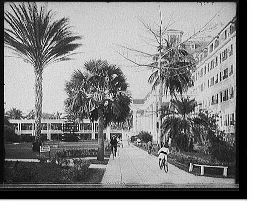 Historic Framed Print, [Along the west facade, Royal Poinciana, Palm Beach, Fla.], 17-7/8