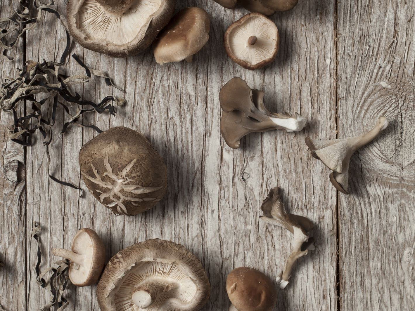 Nourcery Dried Shiitake Mushroom, 50Gm (Sawtooth Oak Mushroom)