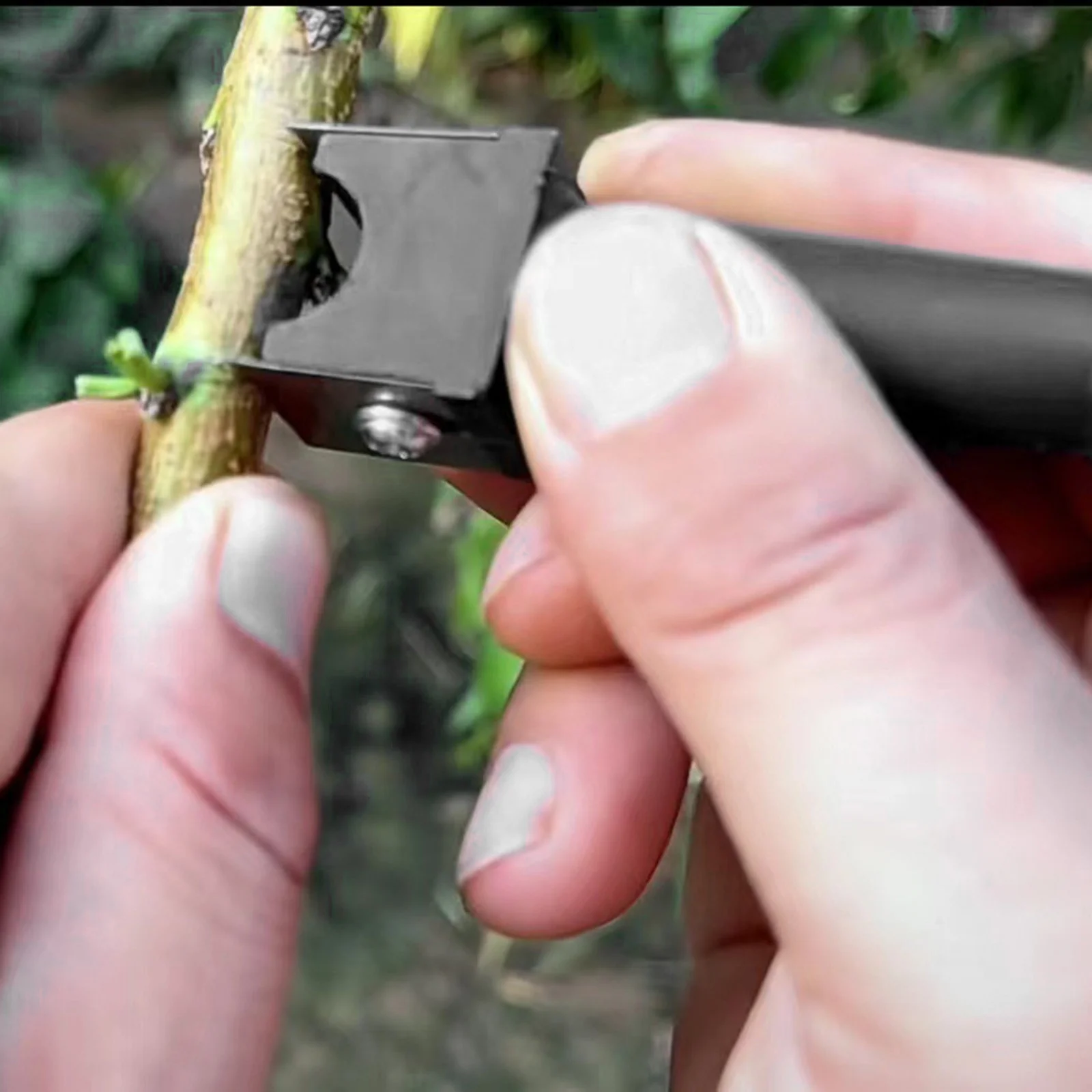 iju7gthy 4th of july Garden Grafting Fruit Tree Grafting Tool Pruning Garden Grafting Tool Double Grafting Garden Tool