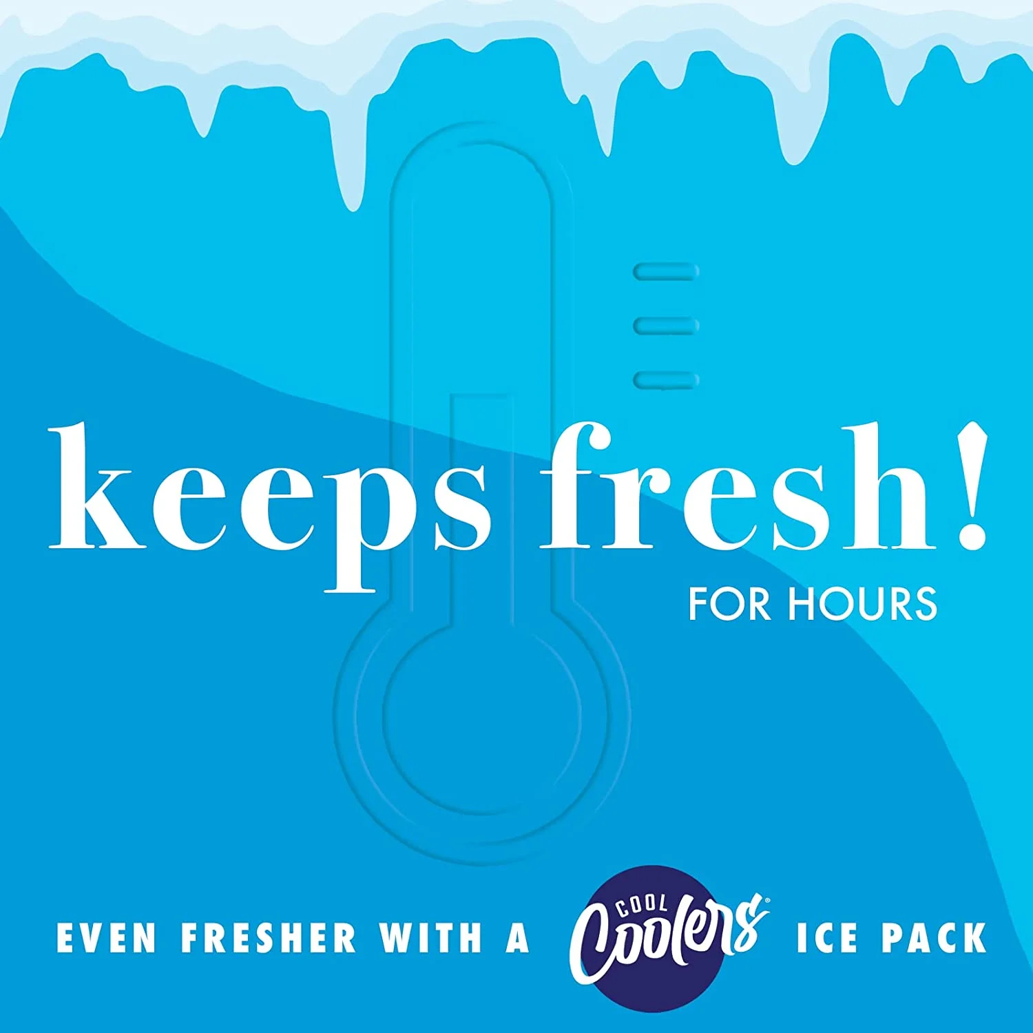 Fit & Fresh 2950ALJSC3034 Artist Collection Deluxe Lunch Kit, Green