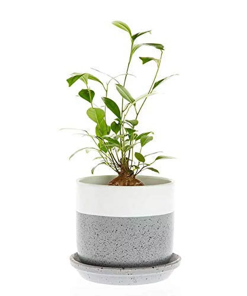 Decorative Ceramic Planter with Saucer (Sand Grey White, 5.5