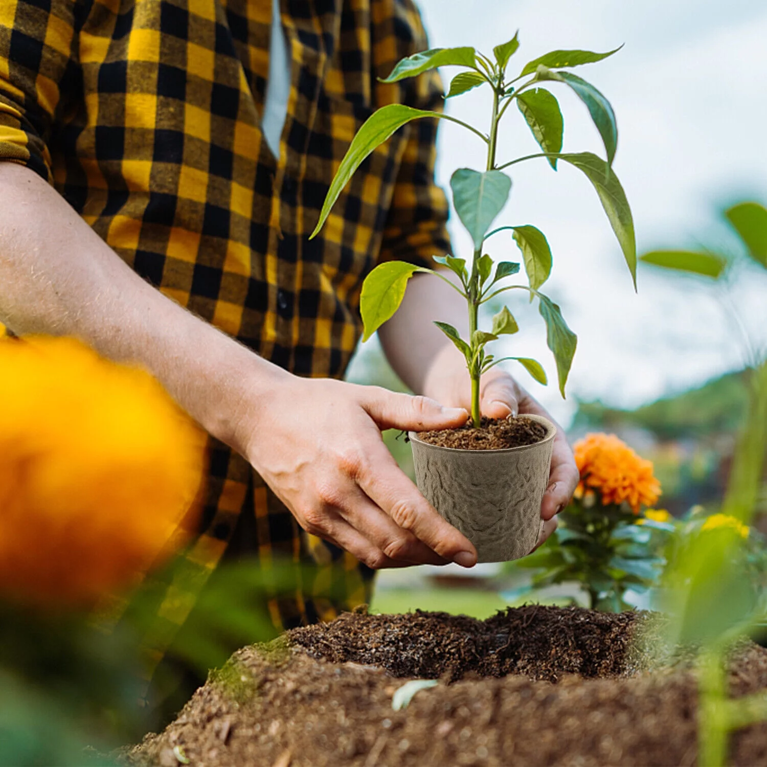 50-100PCS Biodegradable Nursery Pots Garden Plant Grow Seedling Planting Pots US