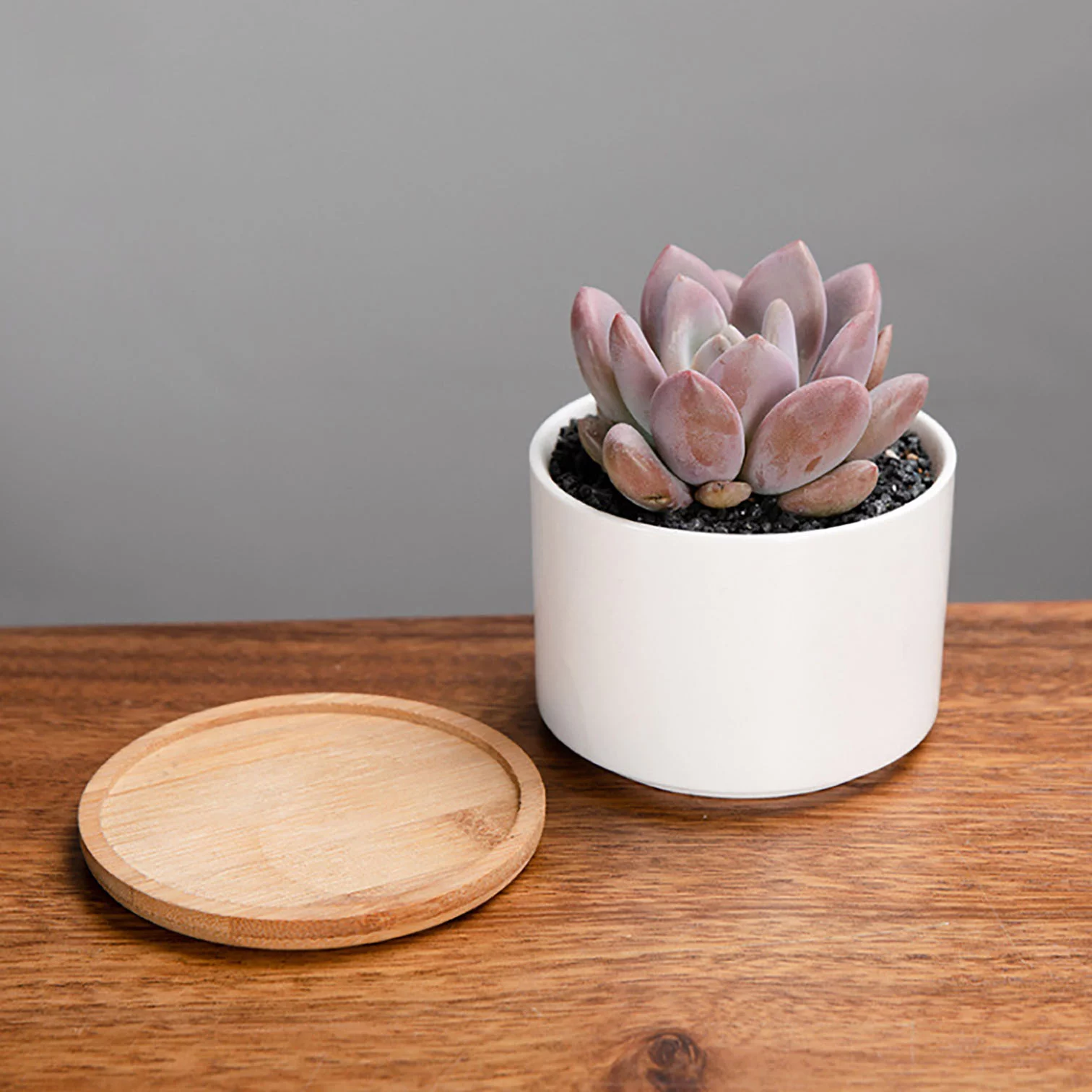 Succulent Pots,White Mini 3.15 inch Ceramic Flower Planter Pot with Bamboo Tray, Pack of 6 - Plants Not Included