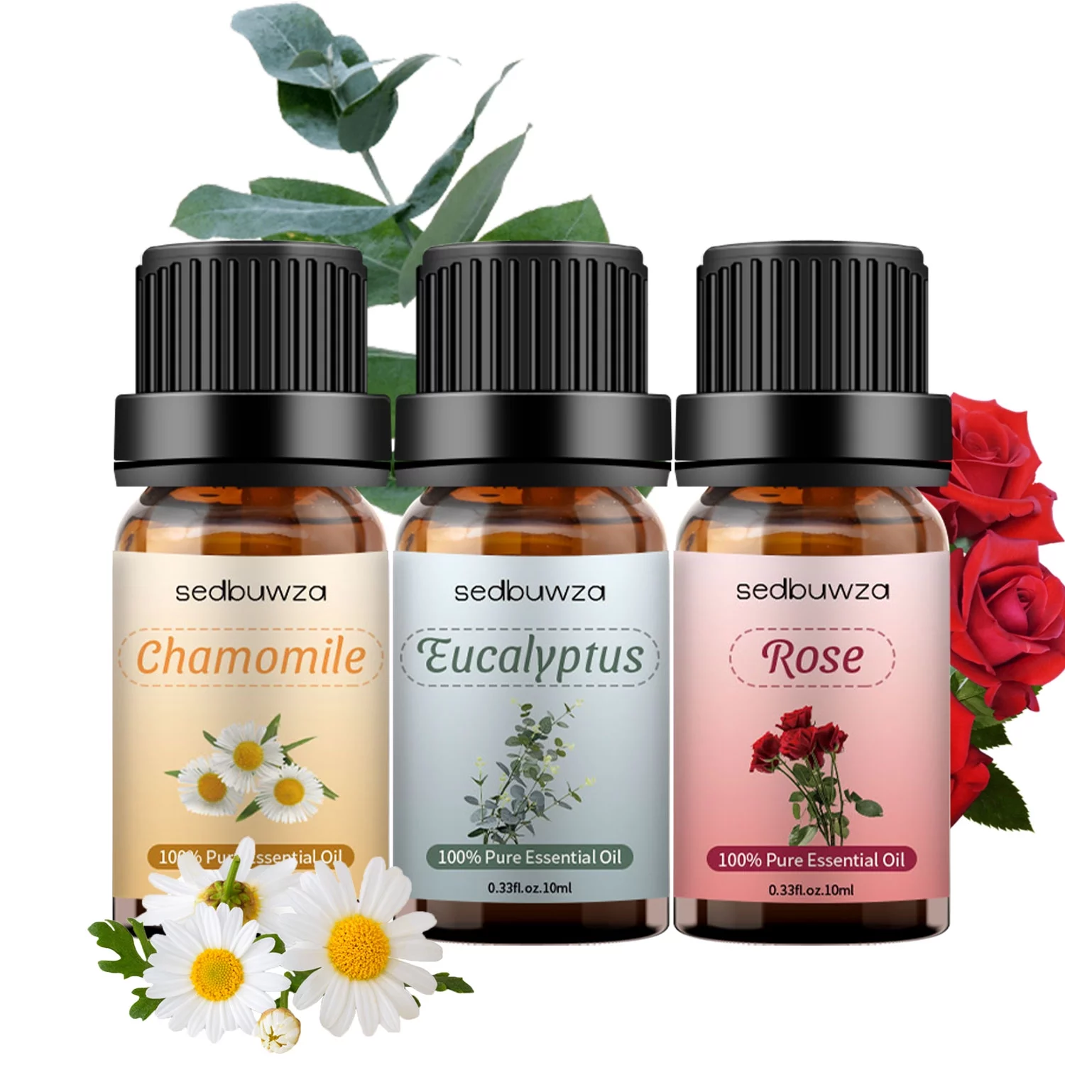 Sedbuwza Essential Oils 100% Pure Eucalyptus, Rose, Chamomile Set 10ml
