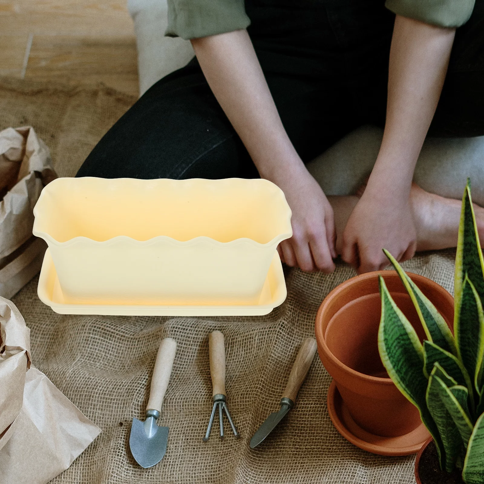 Indoor Plant Pots Pots for Plants Drainio Succulent Planter Pot Windowsill Pot Plastic Plant Pot White