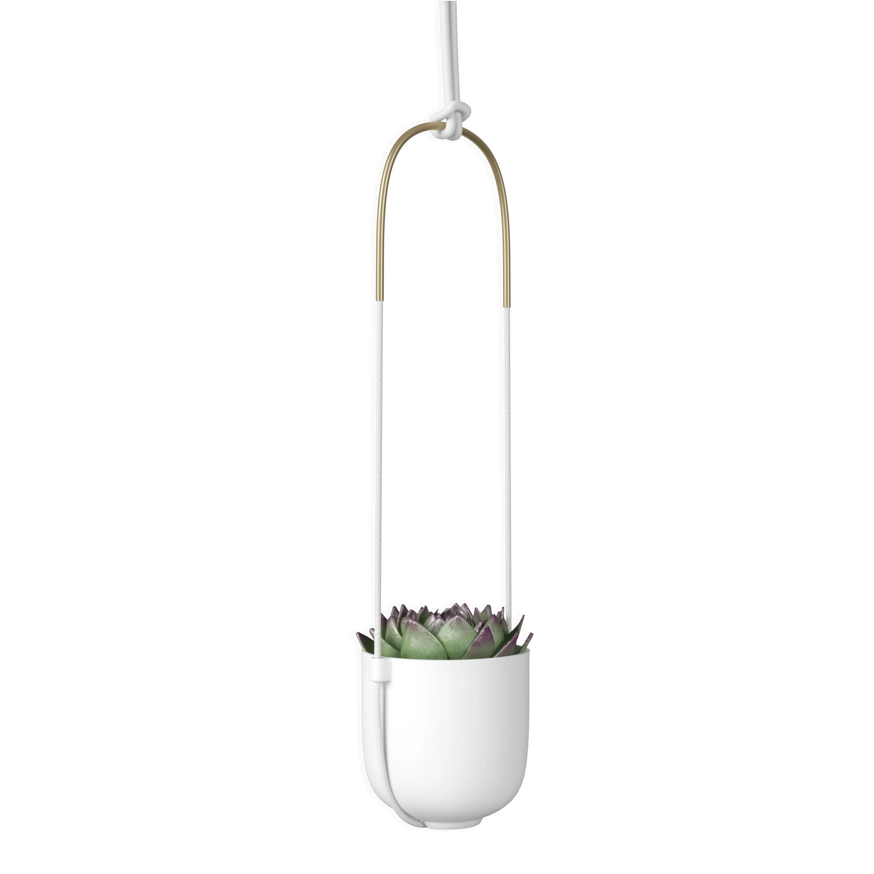 Umbra Bolo Ceramic Hanging Wall Planter White