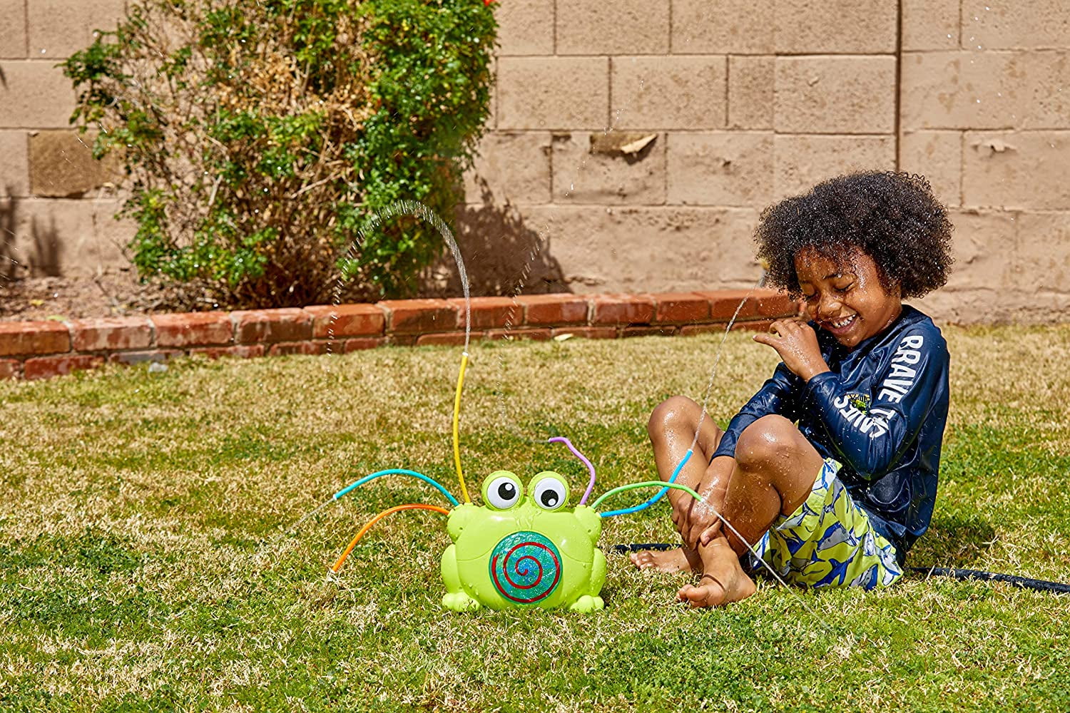 Joyin Sprinkler Frog