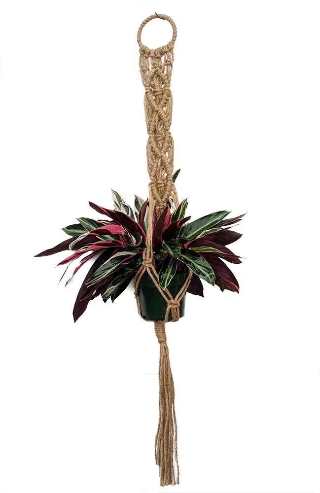 Natural Jute Macrame Plant Hanger - 47