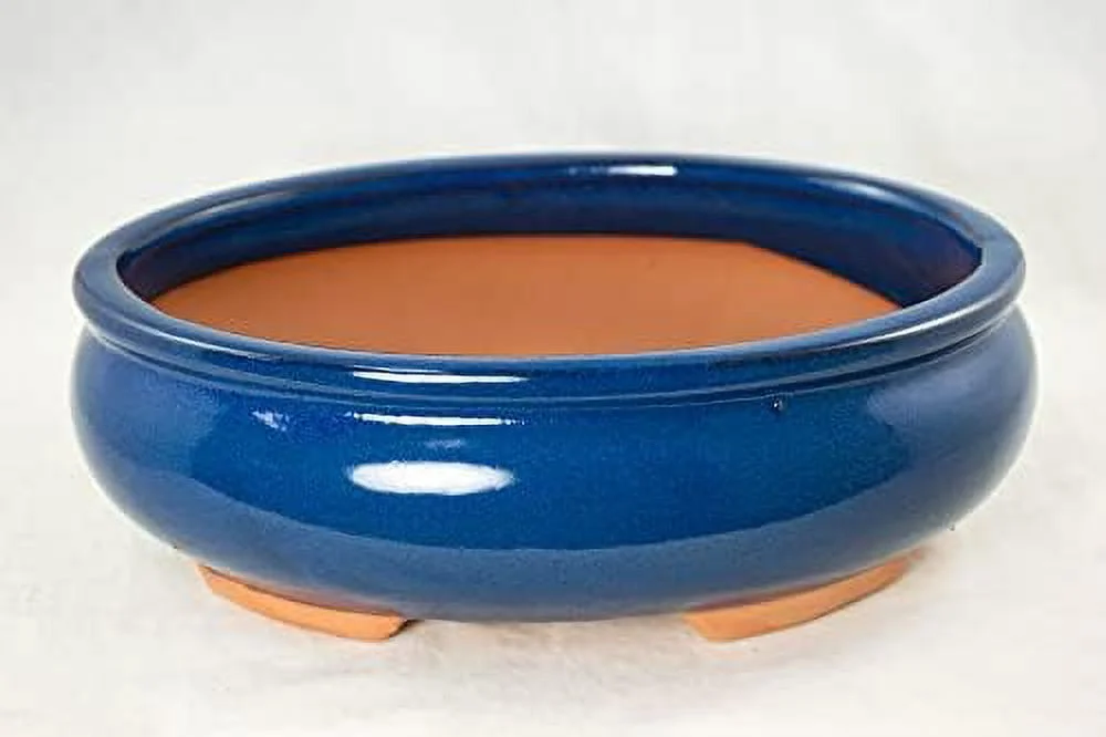 Oval Bonsai / Cactus & Succulent 10X 7.5X 3.25 Inch  Mesh - Dark Blue Glazed, Black