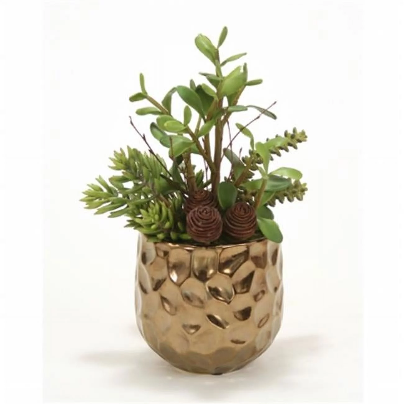 Distinctive Designs International 1929 Jade- Succulents and Cactus in Burnt Gold Gabbi Planter