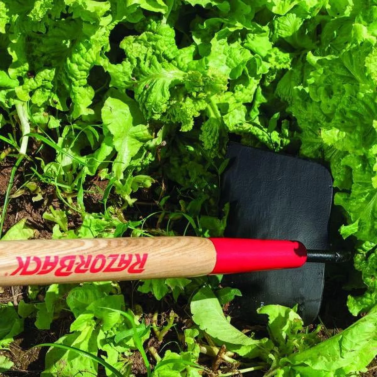 Razorback 70110 Blackland/Southern Meadow Hoes, 7