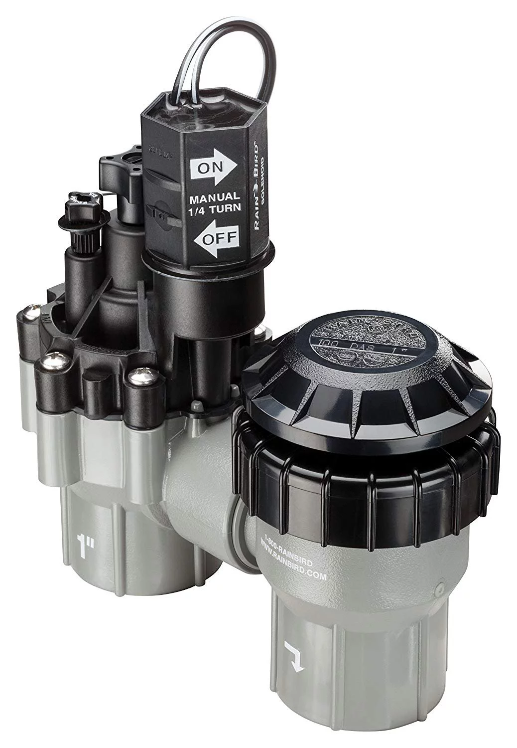 Rain Bird DASASVF100 Professional Grade Anti-Siphon Valve with Flow Control, 1