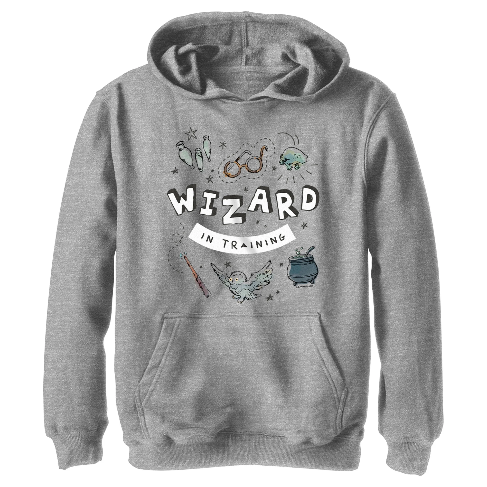 Boy's Harry Potter Wizard Training  Pull Over Hoodie Athletic Heather X Large