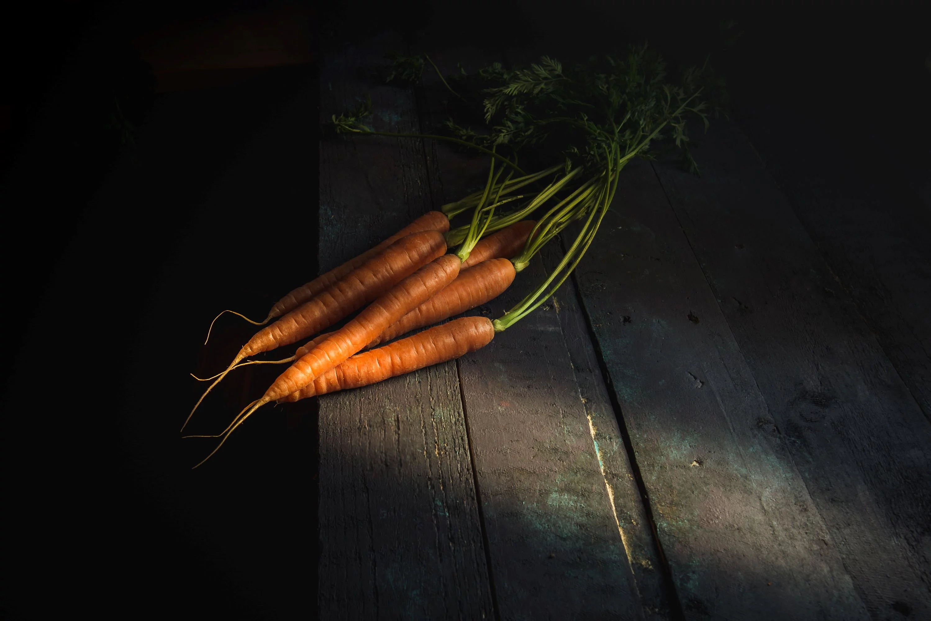Little Finger Carrot Seeds/ Biennial/ Full Sun/19K Seeds 1 oz/ Zellajake Farm and Garden - B180