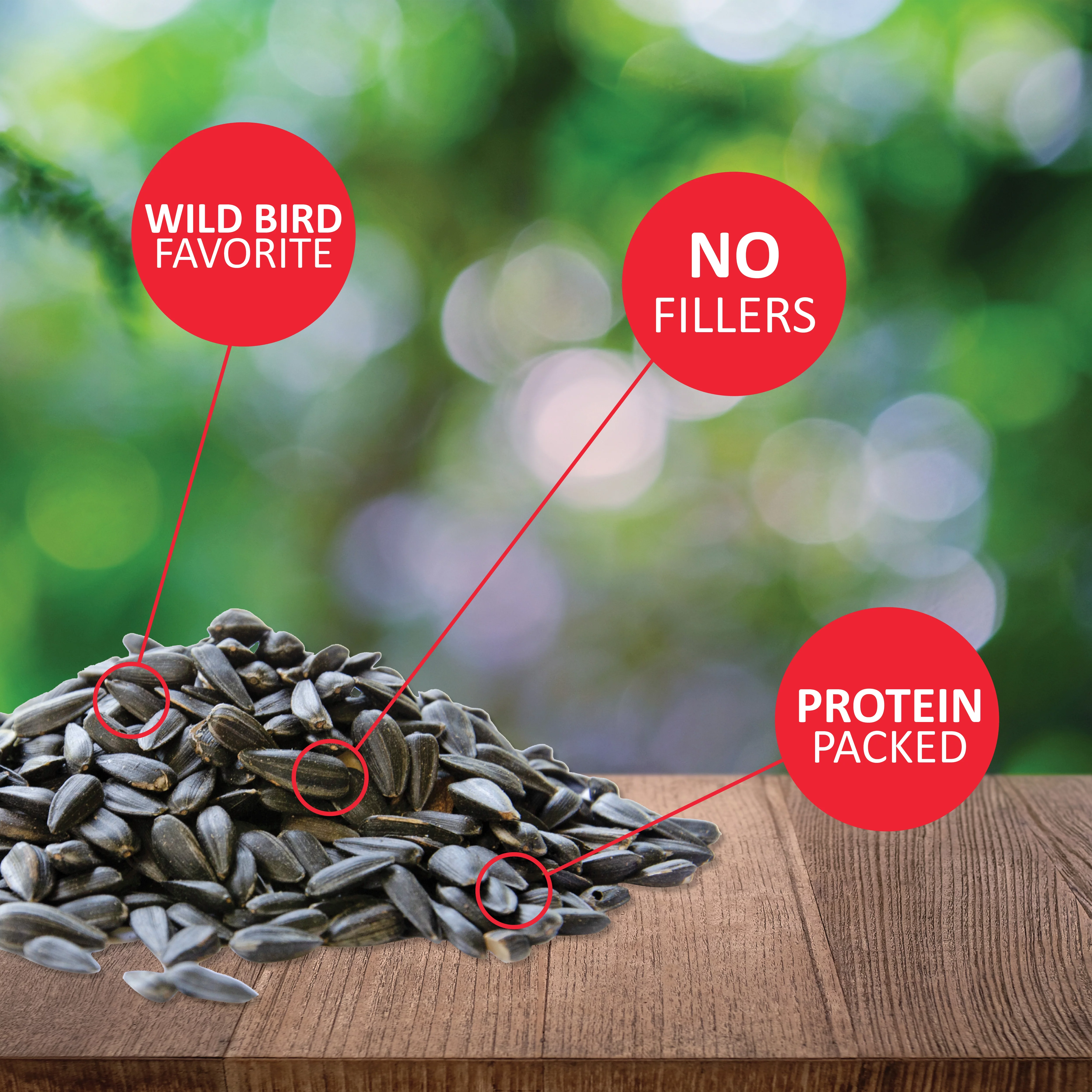 Lyric Black Oil Sunflower Seeds - 5 lb. Bag