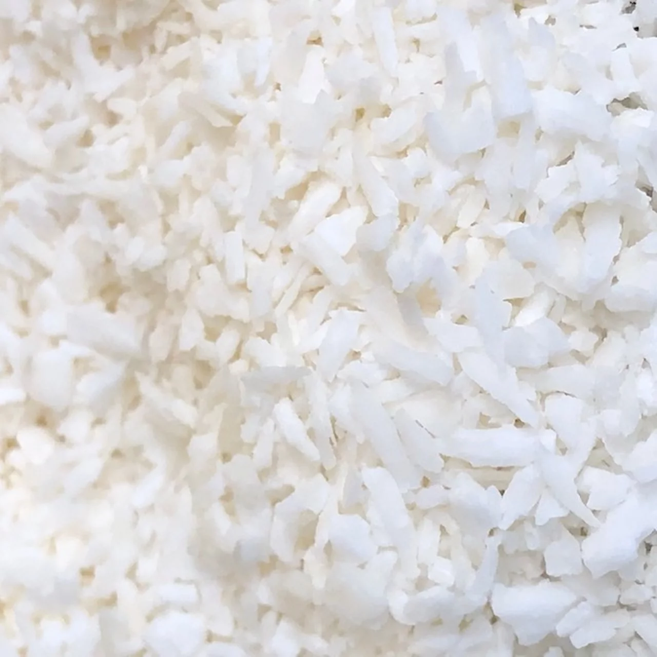 Bulk Unsweetened Coconut Chips 10 Pound Wholesale Box