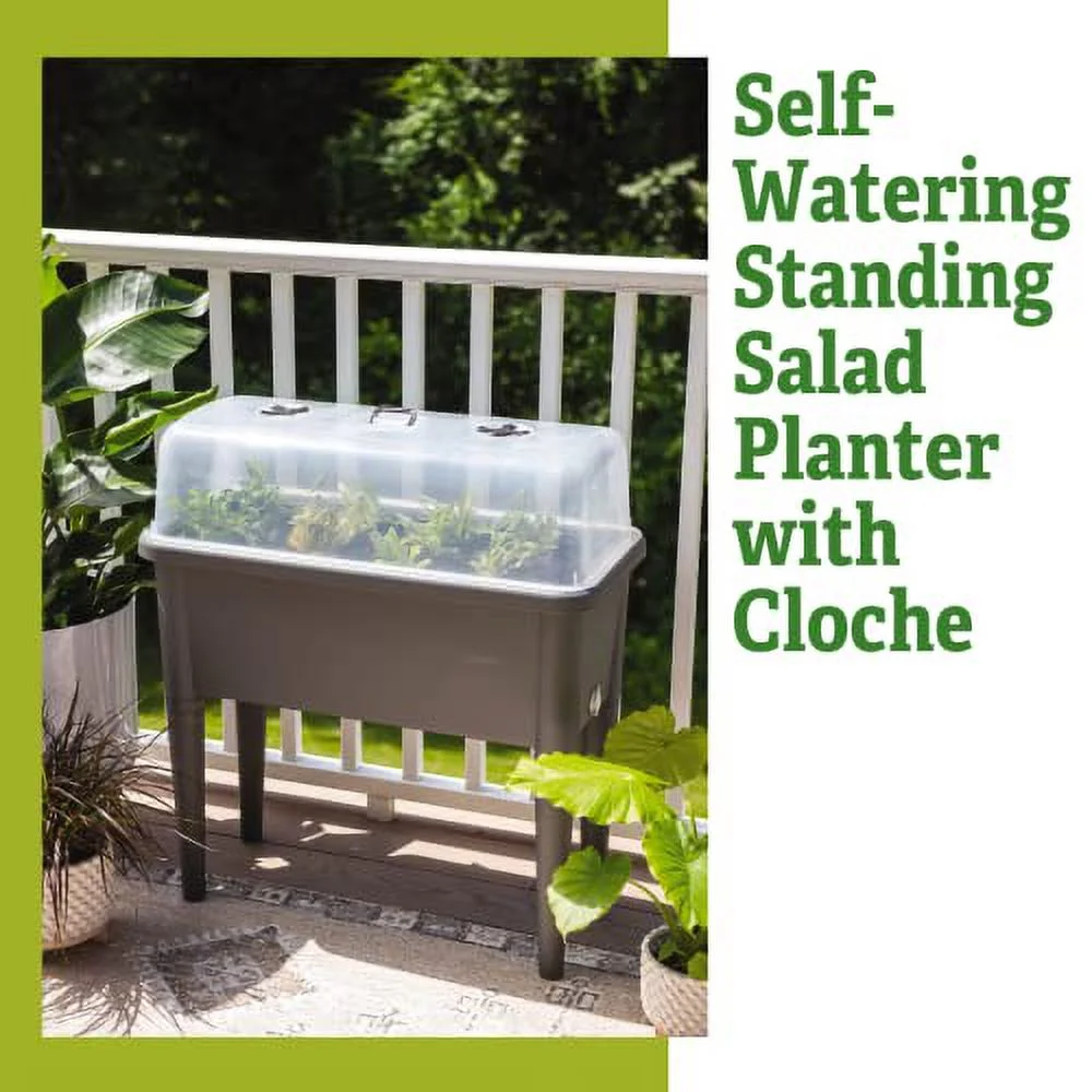 Gardener's Supply Company | Self-Watering Standing Salad Planter with Cloche | 30