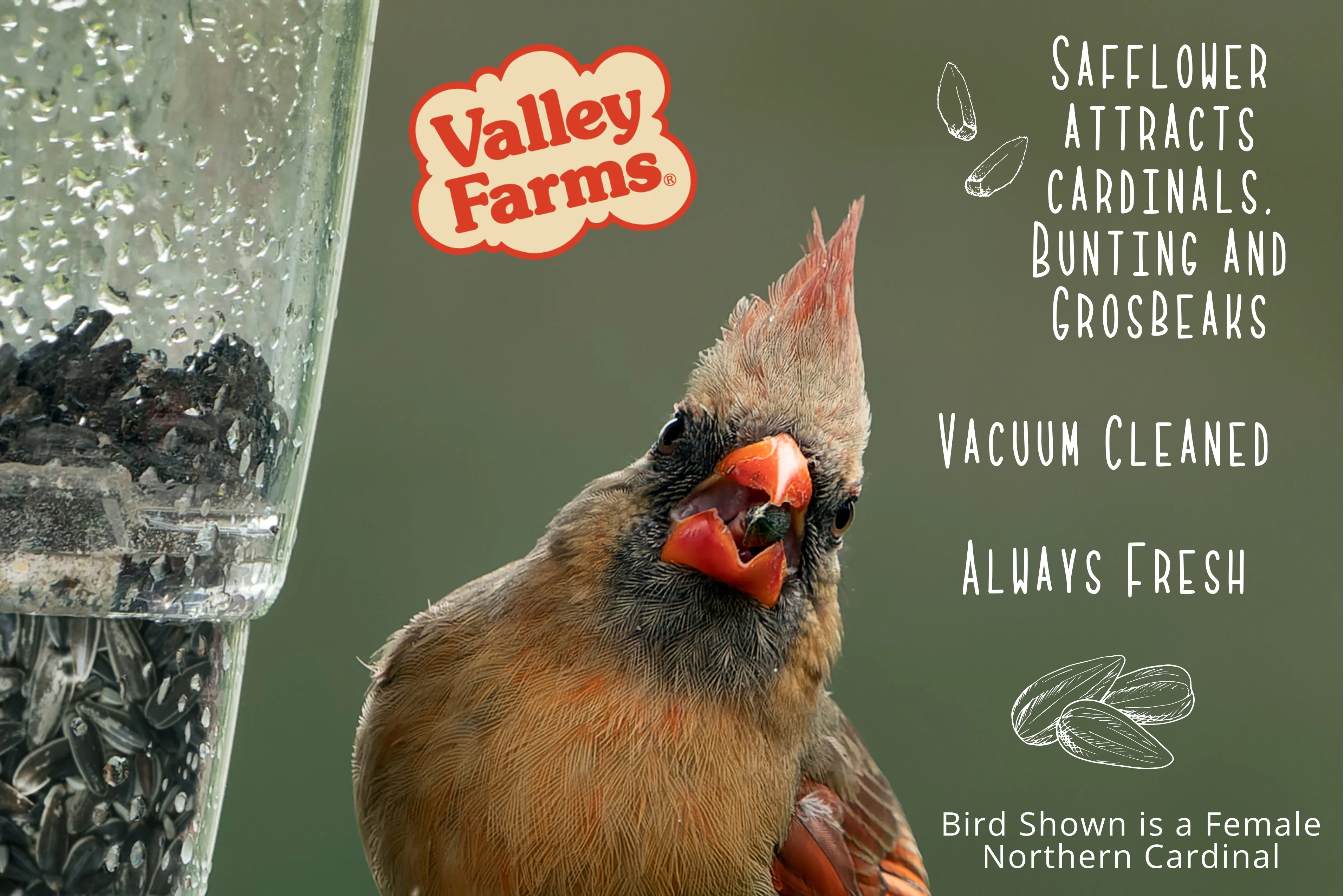 Valley Farms Cardinal Mix Wild Bird Food 10LBS