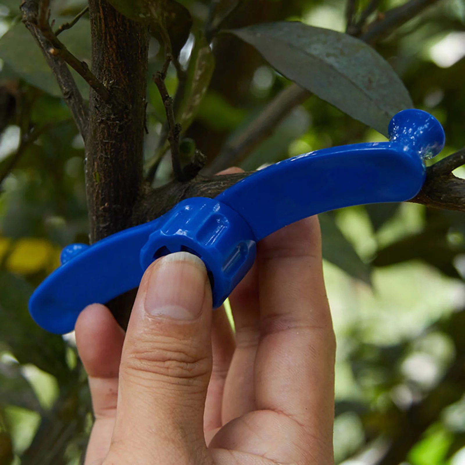 iju7gthy 4th of july Bonsai Bending Tool 360 Adjustable Seedling Straightening Strip Fixeding Branch Clamp Fruit Tree Pulling and Shaping Device